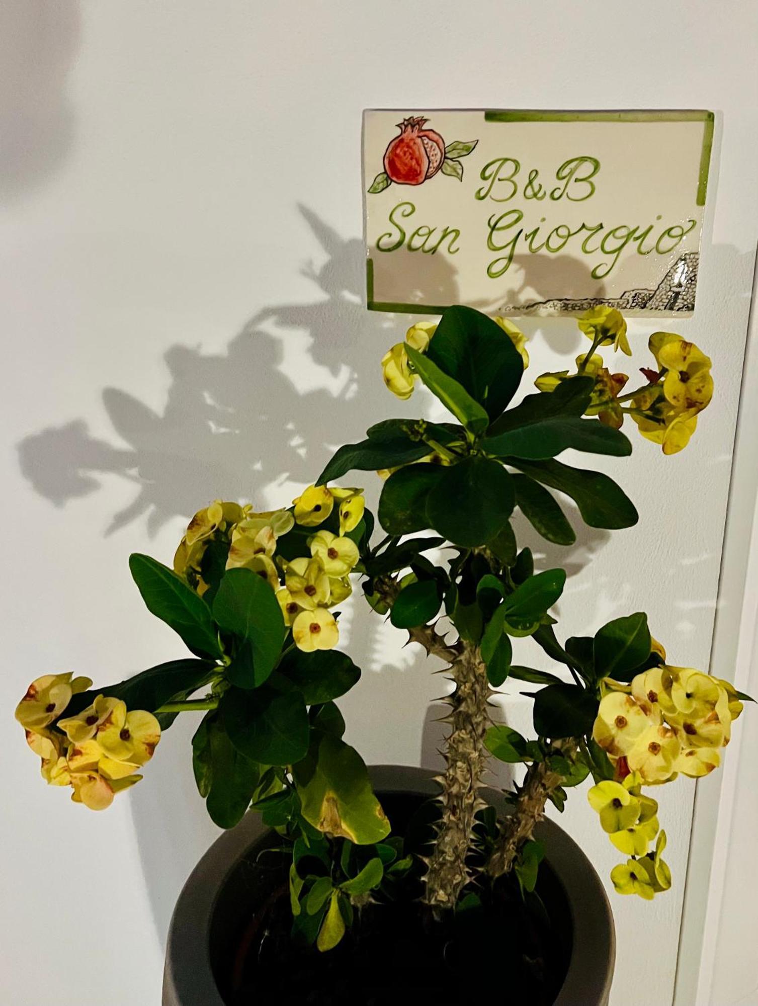 B&B Sangiorgio 보르가네 외부 사진